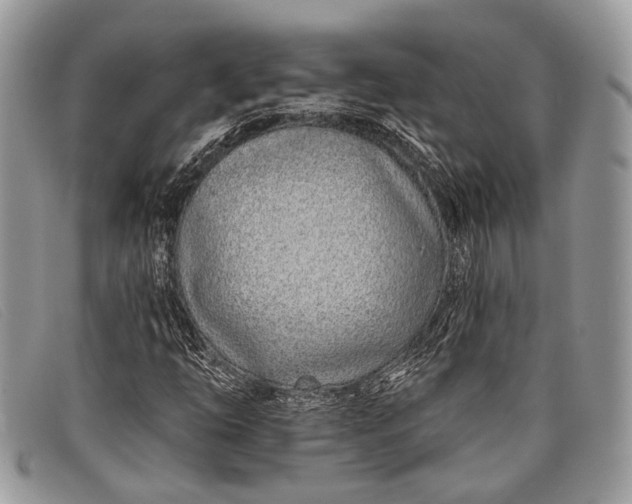 X0000098031254200804111314