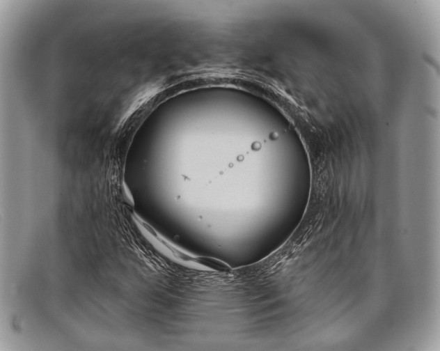 X0000098031255200804111314