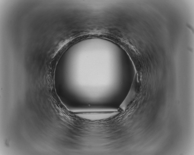 X0000098031256200804111314