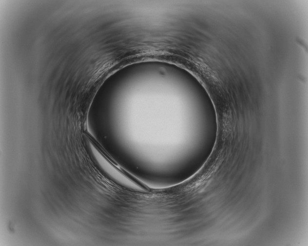 X0000098031257200804111314