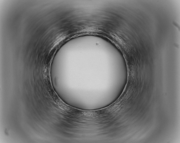 X0000098031258200804111314