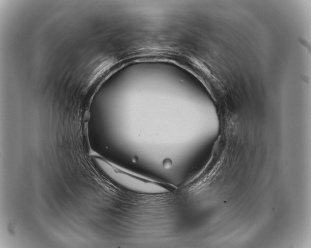 X0000098031259200804111314