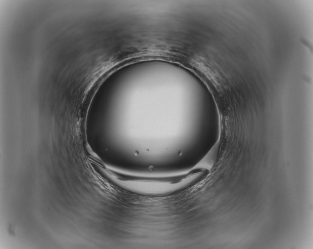 X0000098031260200804111314