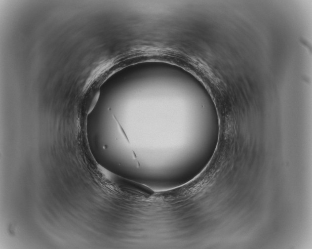 X0000098031261200804111314