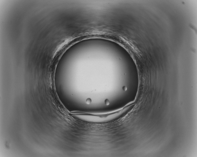 X0000098031262200804111314