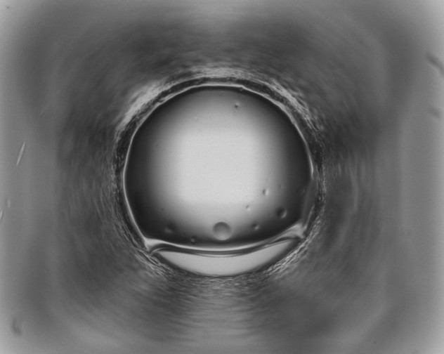 X0000098031263200804111314