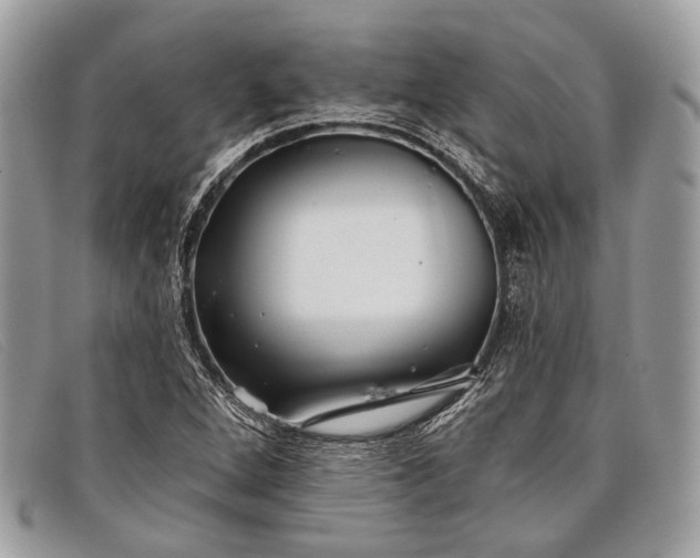 X0000098031264200804111314