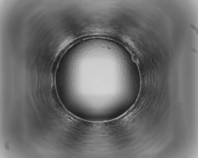 X0000098031267200804111314