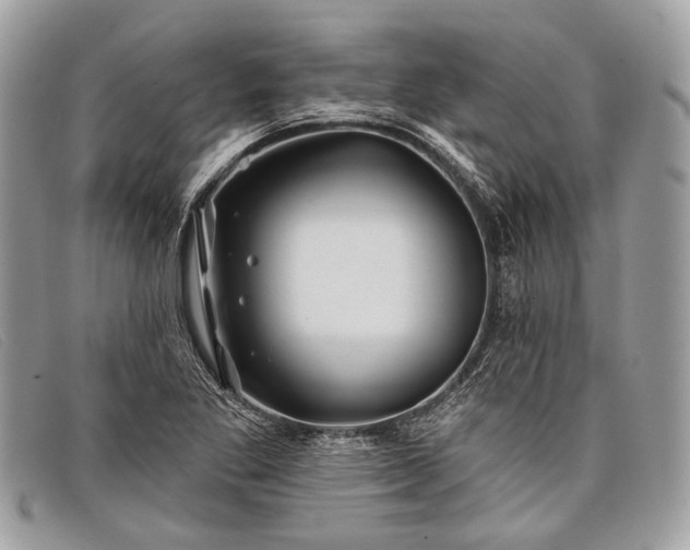 X0000098031269200804111314