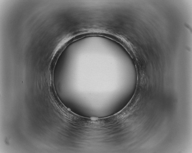 X0000098031271200804111314