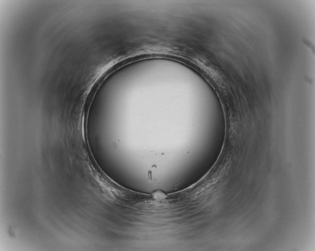 X0000098031272200804111314