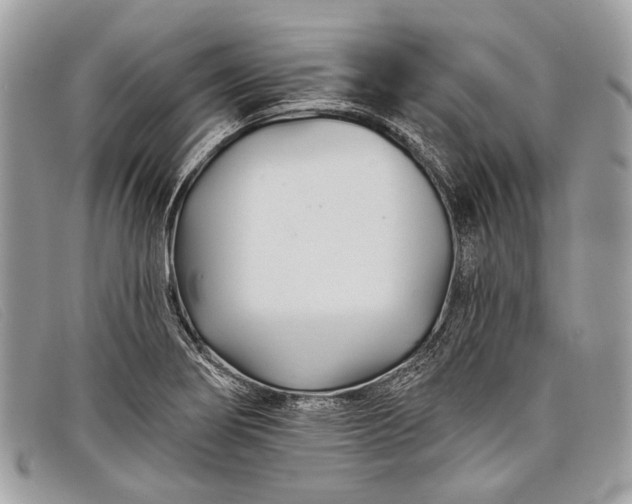 X0000098031274200804111314