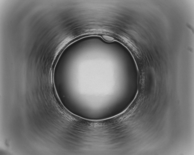 X0000098031275200804111314