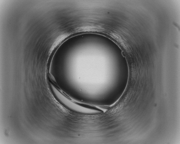 X0000098031277200804111314