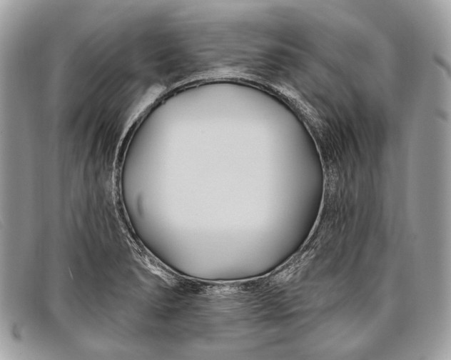 X0000098031278200804111314