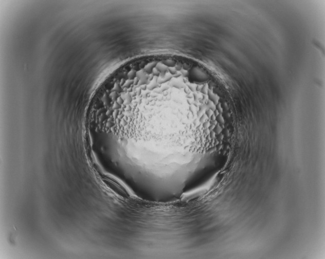 X0000098031279200804111314