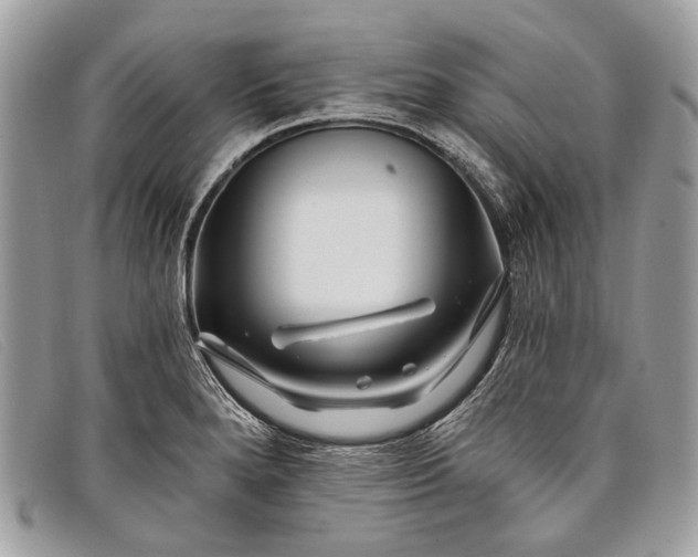 X0000098031280200804111314