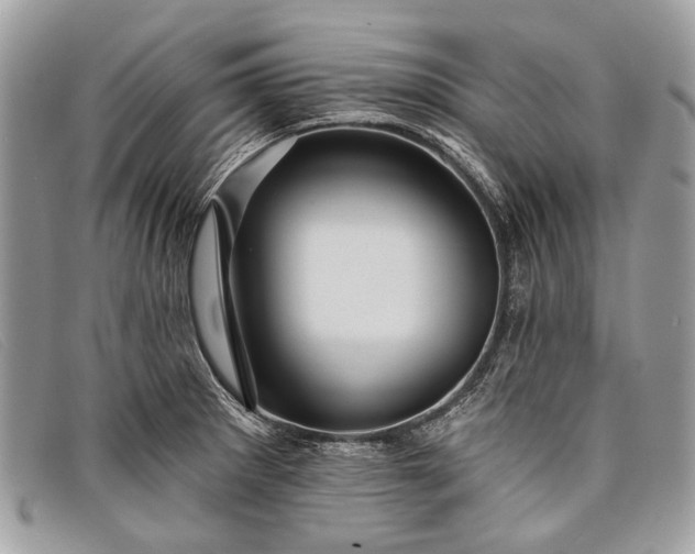 X0000098031281200804111314