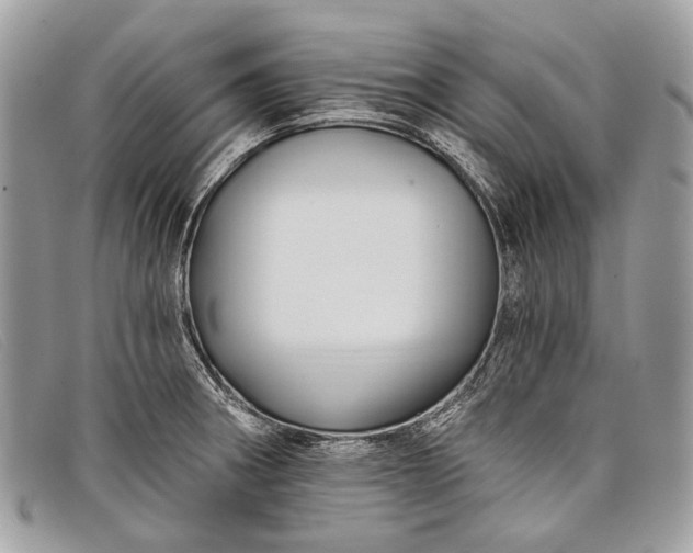 X0000098031282200804111314