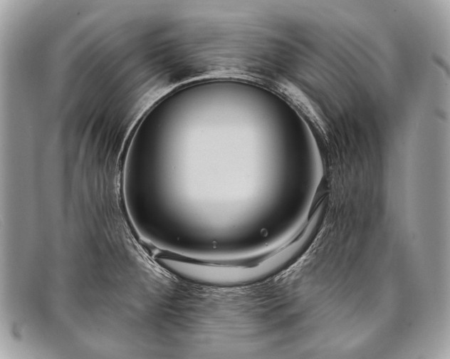 X0000098031284200804111314