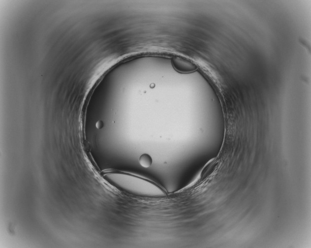 X0000098031287200804111314