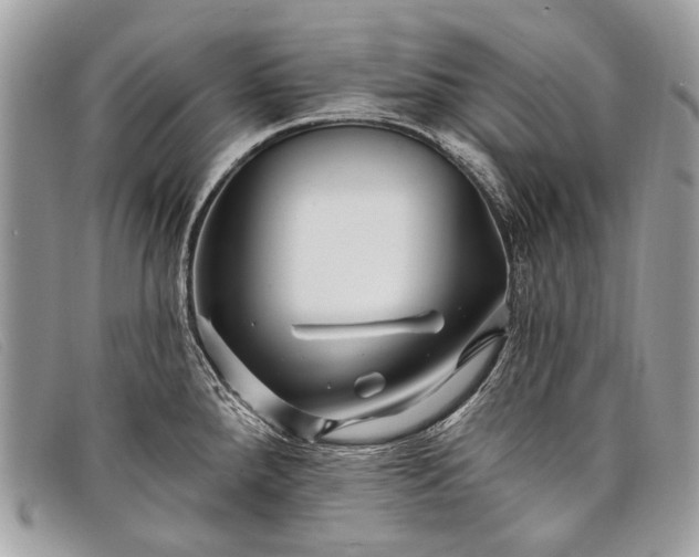 X0000098031288200804111314