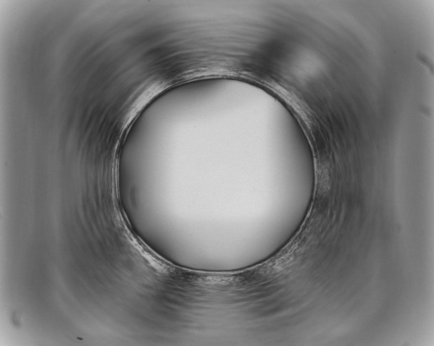 X0000098031290200804111313