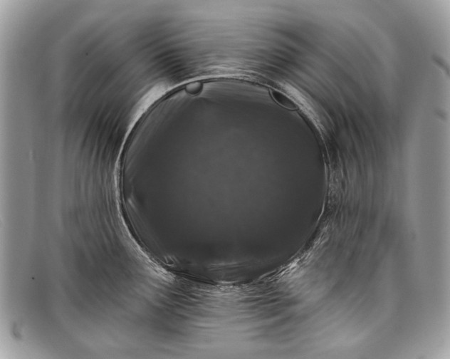 X0000098031291200804111313