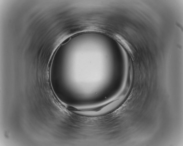 X0000098031292200804111313