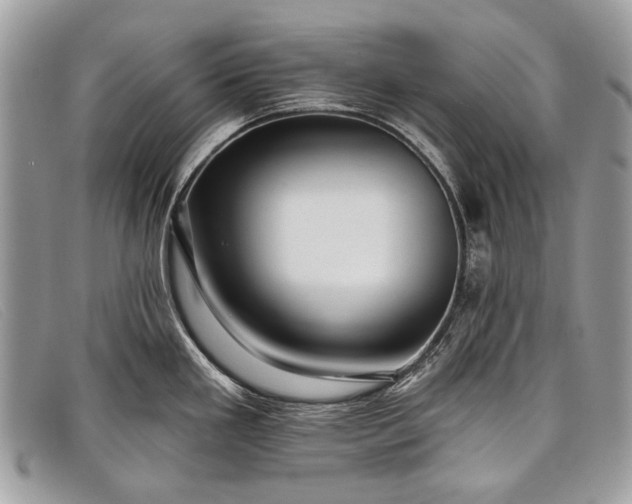 X0000098031293200804111313