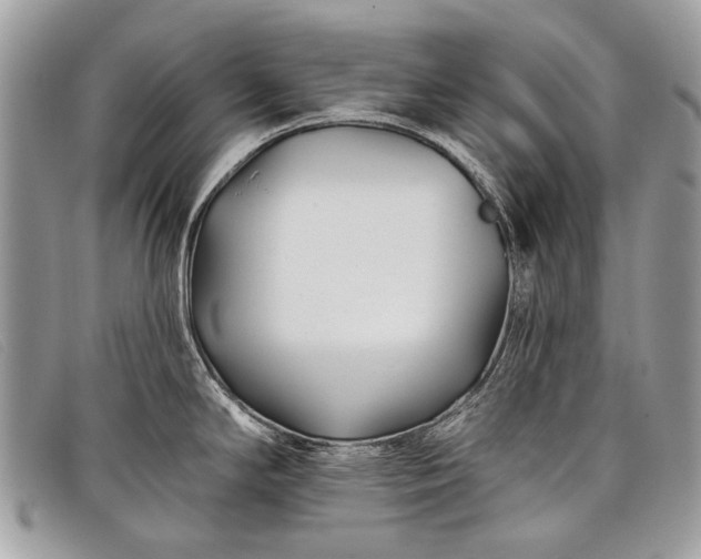 X0000098031294200804111313