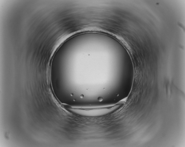 X0000098031295200804111313