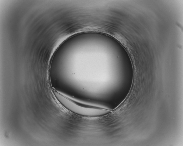 X0000098031296200804111313