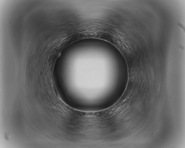 X0000098031297200804111313