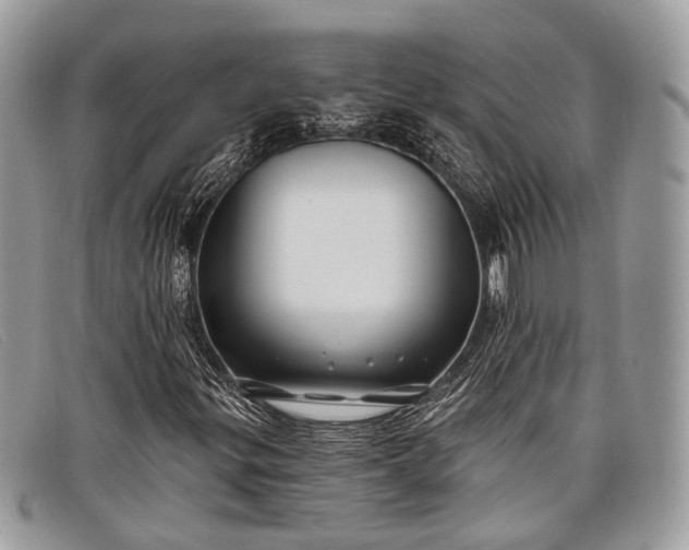 X0000098031299200804111313