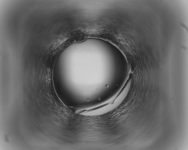 X0000098031301200804111313