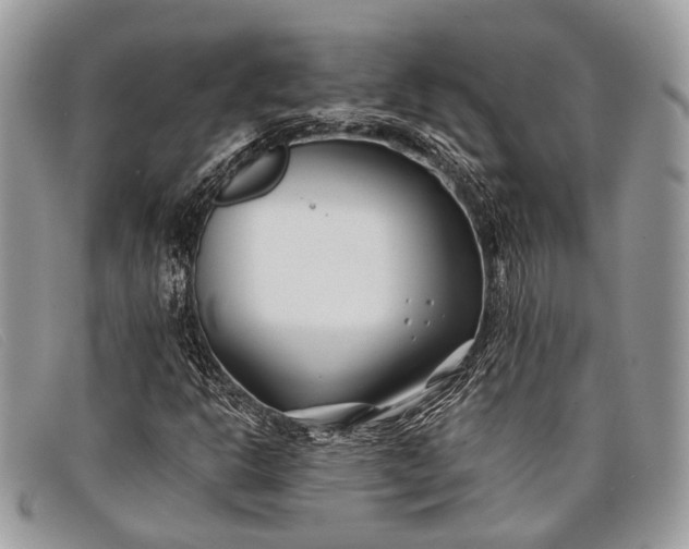 X0000098031302200804111313