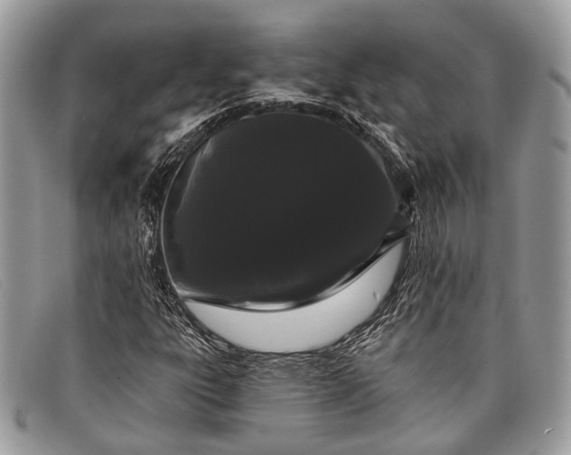 X0000098031303200804111313