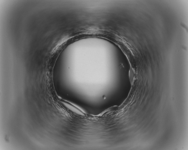 X0000098031304200804111313