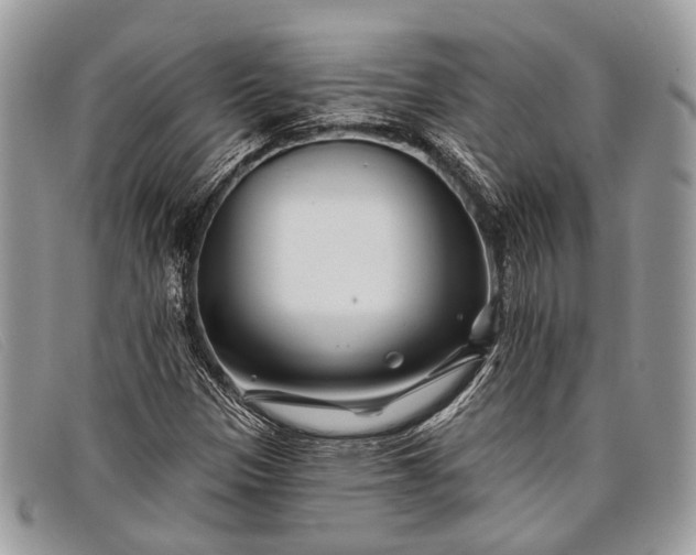 X0000098031305200804111313