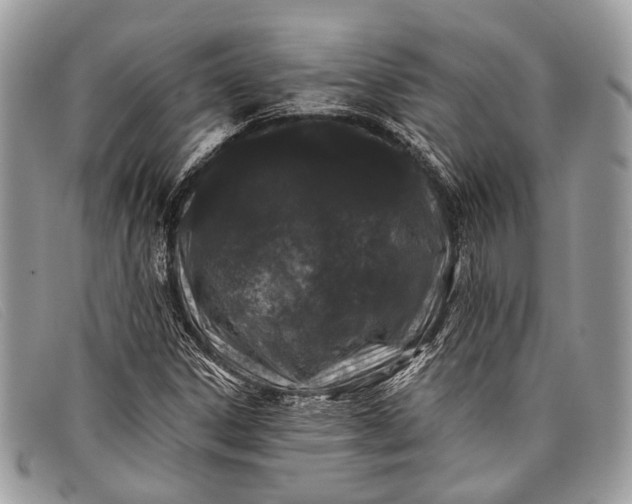 X0000098031306200804111313