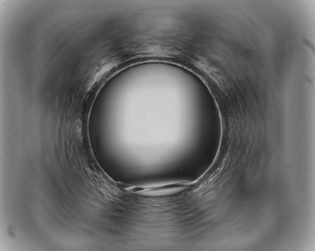 X0000098031307200804111313