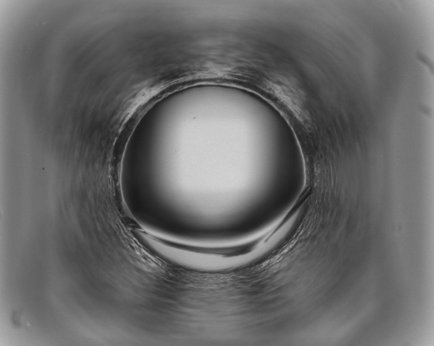 X0000098031308200804111313