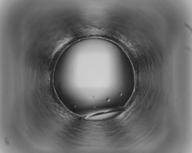 X0000098031309200804111313