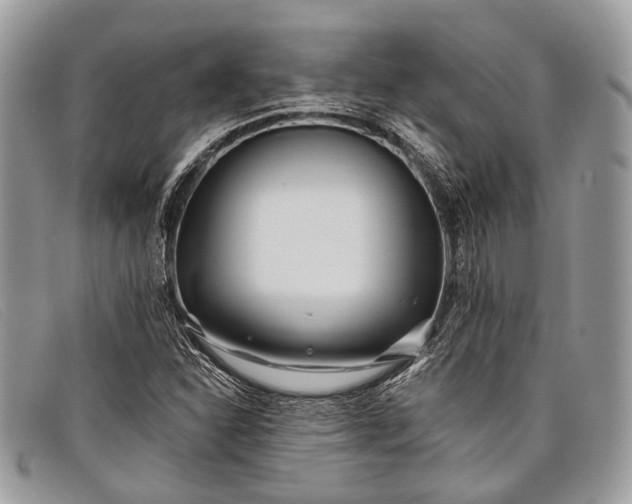 X0000098031310200804111313