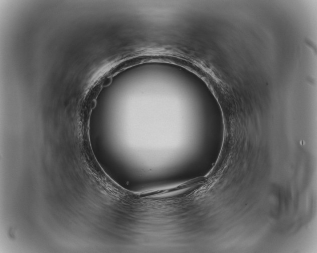 X0000098031311200804111313