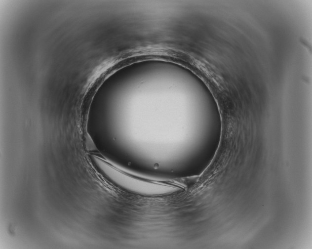 X0000098031312200804111313