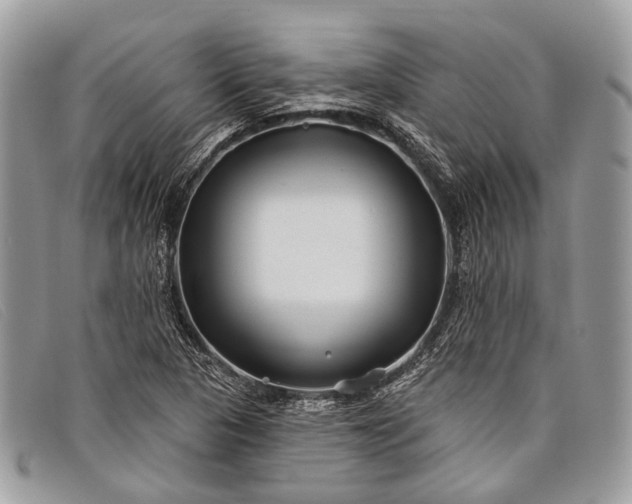 X0000098031313200804111313