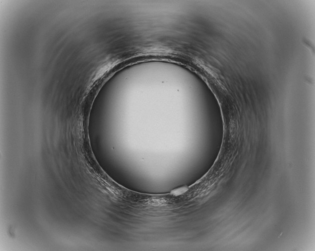 X0000098031315200804111313