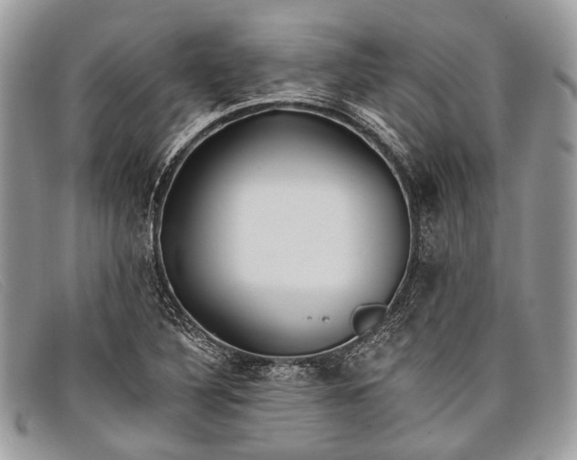 X0000098031316200804111313